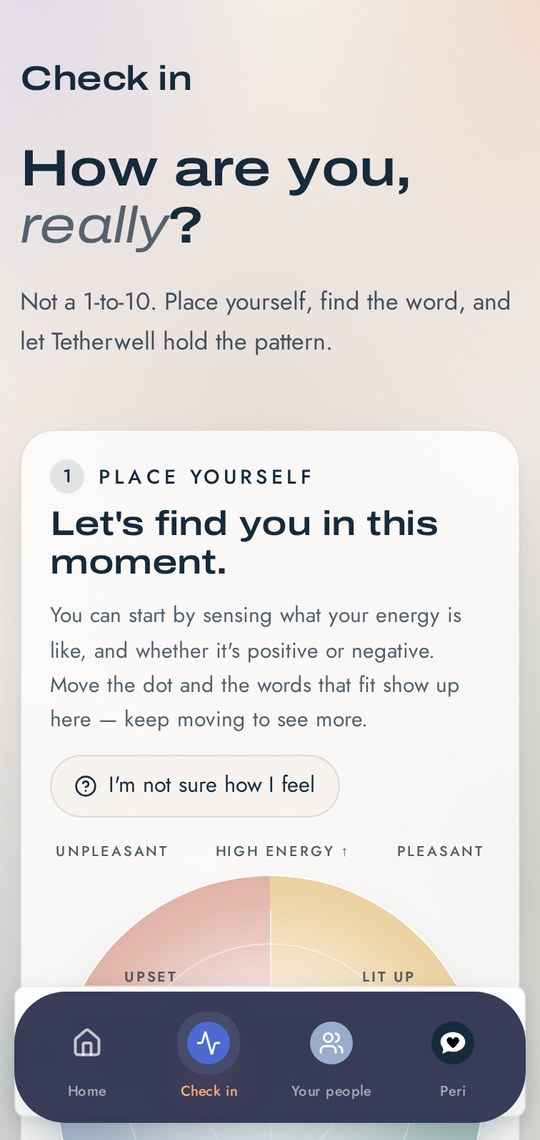 Tetherwell on a phone, showing the mood check-in wheel